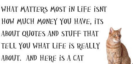 538243_10150655910596299_318406390_n