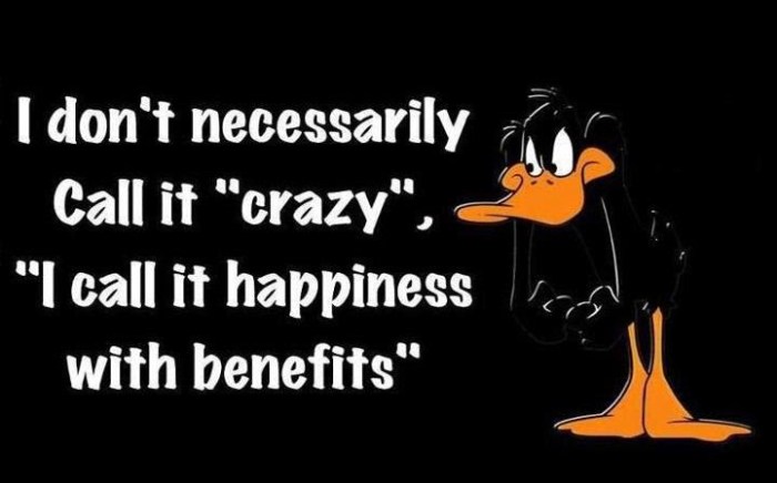 556587_411918962200427_1772155781_n