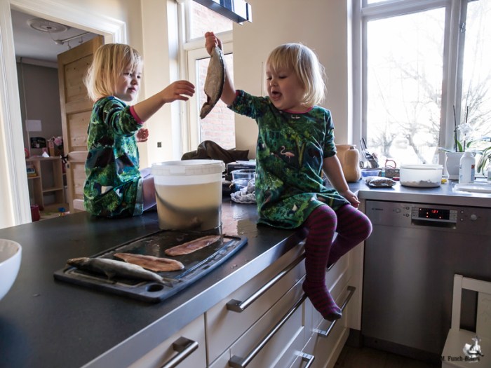 "Aaaaad" hviner pigerne frydefuldt "De tisser" og så fik de to krabater ellers travlt med at dyppe hver sin sild i vandet, hive den op hvine fornøjet imens vandet løber af fisken.