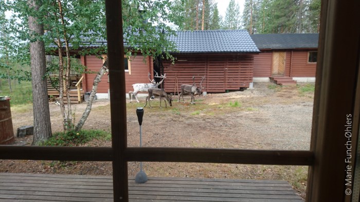 Finlandstur 2018 (130-337)© Marie Funch-Øhlers